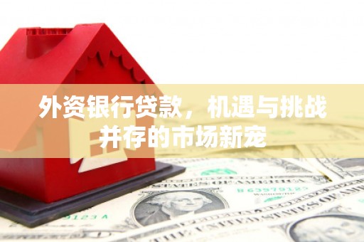平顺外资银行贷款，机遇与挑战并存的市场新宠