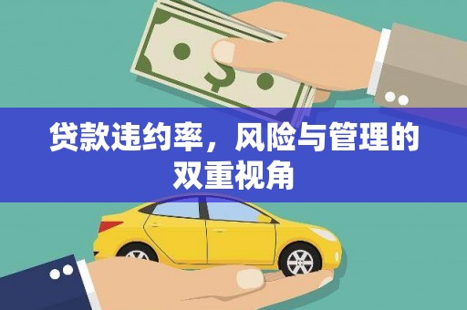 平顺贷款违约率，风险与管理的双重视角