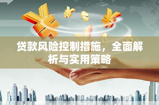 平顺贷款风险控制措施，全面解析与实用策略