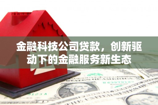 平顺金融科技公司贷款，创新驱动下的金融服务新生态