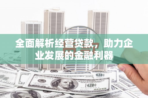 平顺全面解析经营贷款，助力企业发展的金融利器
