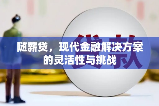 平顺随薪贷，现代金融解决方案的灵活性与挑战