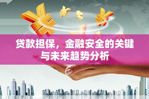 平顺贷款担保，金融安全的关键与未来趋势分析