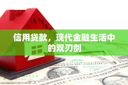 平顺信用贷款，现代金融生活中的双刃剑