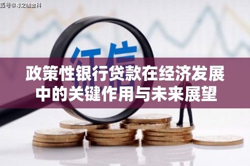 平顺政策性银行贷款在经济发展中的关键作用与未来展望