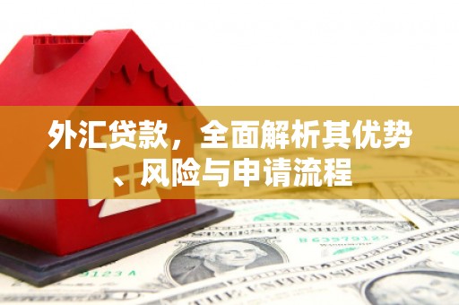 平顺外汇贷款，全面解析其优势、风险与申请流程