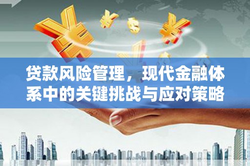 平顺贷款风险管理，现代金融体系中的关键挑战与应对策略
