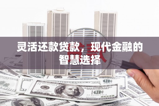 平顺灵活还款贷款，现代金融的智慧选择