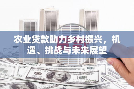 平顺农业贷款助力乡村振兴，机遇、挑战与未来展望