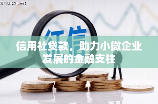 平顺信用社贷款，助力小微企业发展的金融支柱