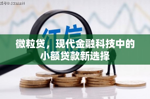 平顺微粒贷，现代金融科技中的小额贷款新选择