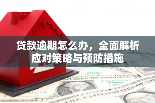 平顺贷款逾期怎么办，全面解析应对策略与预防措施