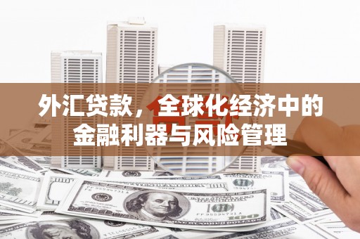 平顺外汇贷款，全球化经济中的金融利器与风险管理