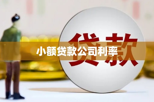 平顺小额贷款公司利率