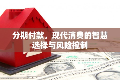 平顺分期付款，现代消费的智慧选择与风险控制