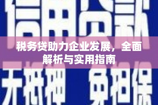 平顺税务贷助力企业发展，全面解析与实用指南