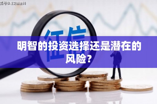 平顺明智的投资选择还是潜在的风险？