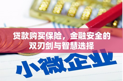 平顺贷款购买保险，金融安全的双刃剑与智慧选择