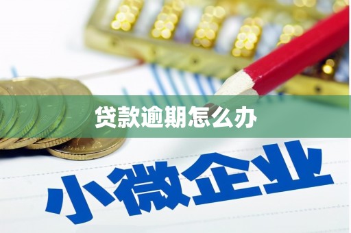 平顺贷款逾期怎么办