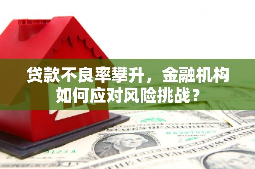 平顺贷款不良率攀升，金融机构如何应对风险挑战？