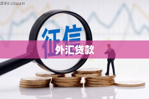 平顺外汇贷款