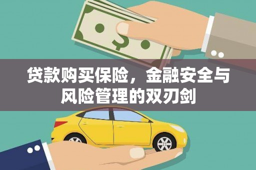 平顺贷款购买保险，金融安全与风险管理的双刃剑