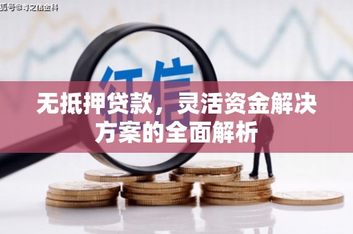 平顺无抵押贷款，灵活资金解决方案的全面解析