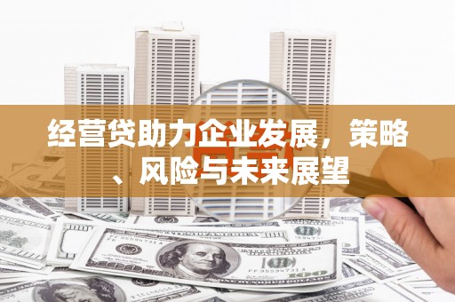 平顺经营贷助力企业发展，策略、风险与未来展望