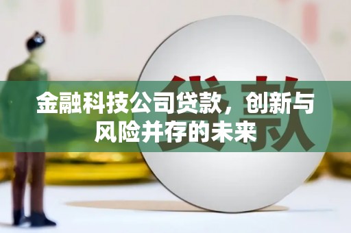 平顺金融科技公司贷款，创新与风险并存的未来