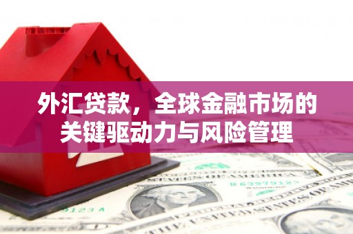 平顺外汇贷款，全球金融市场的关键驱动力与风险管理