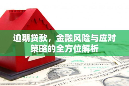 平顺逾期贷款，金融风险与应对策略的全方位解析