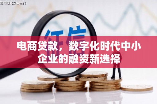 平顺电商贷款，数字化时代中小企业的融资新选择