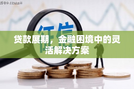 平顺贷款展期，金融困境中的灵活解决方案