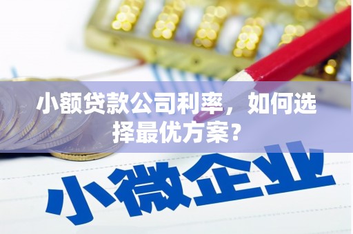 平顺小额贷款公司利率，如何选择最优方案？