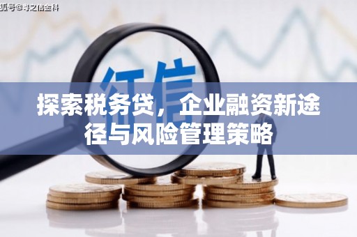 平顺探索税务贷，企业融资新途径与风险管理策略