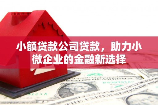 平顺小额贷款公司贷款，助力小微企业的金融新选择