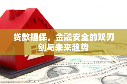 平顺贷款担保，金融安全的双刃剑与未来趋势