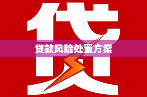 平顺贷款风险处置方案