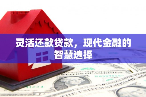 平顺灵活还款贷款，现代金融的智慧选择