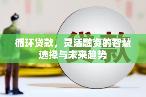 平顺循环贷款，灵活融资的智慧选择与未来趋势