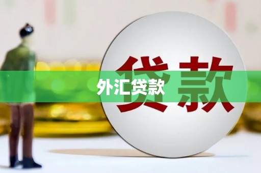 平顺外汇贷款