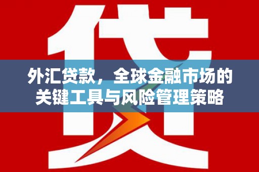 平顺外汇贷款，全球金融市场的关键工具与风险管理策略