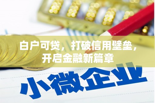 平顺白户可贷，打破信用壁垒，开启金融新篇章