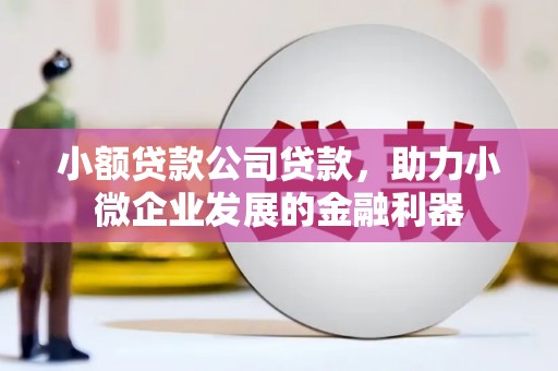 平顺小额贷款公司贷款，助力小微企业发展的金融利器
