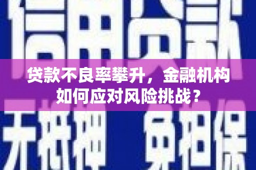 平顺贷款不良率攀升，金融机构如何应对风险挑战？