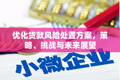 平顺优化贷款风险处置方案，策略、挑战与未来展望