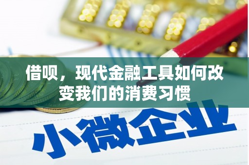 平顺借呗，现代金融工具如何改变我们的消费习惯