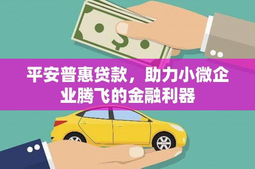 平顺平安普惠贷款，助力小微企业腾飞的金融利器