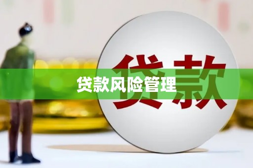 平顺贷款风险管理