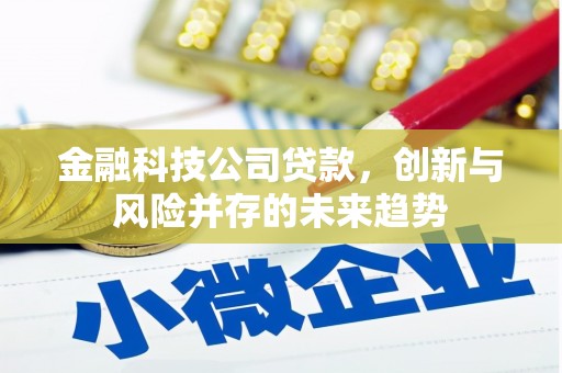 平顺金融科技公司贷款，创新与风险并存的未来趋势